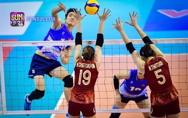 Sảnh cược bóng chuyền Sun52 chuyên nghiệp Cược bóng chuyền Sun52